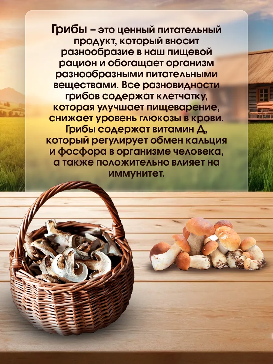 Белые грибы сушеные 90г