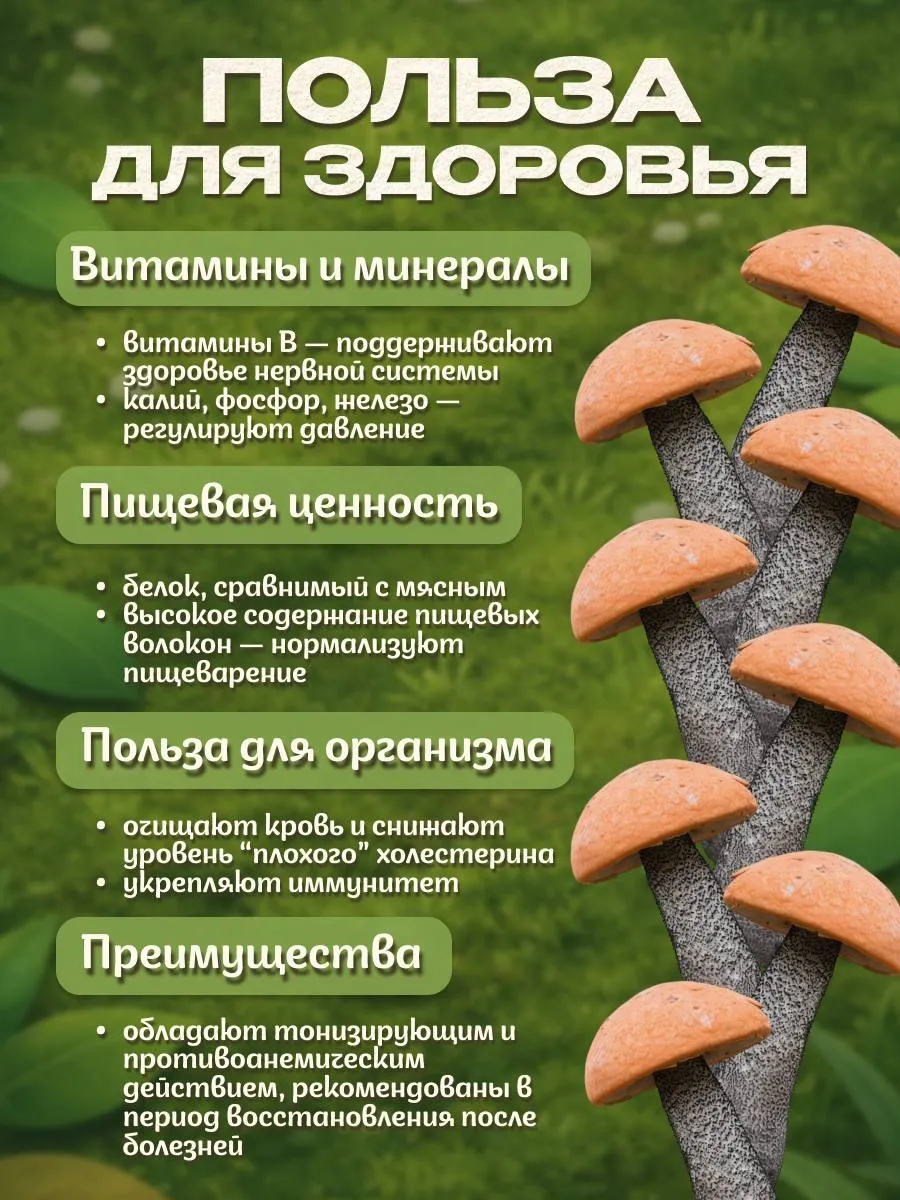 Подосиновики грибы сушеные 100гр